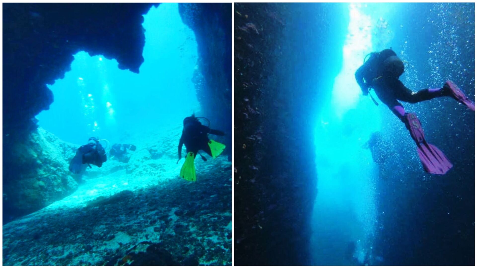 dive-image