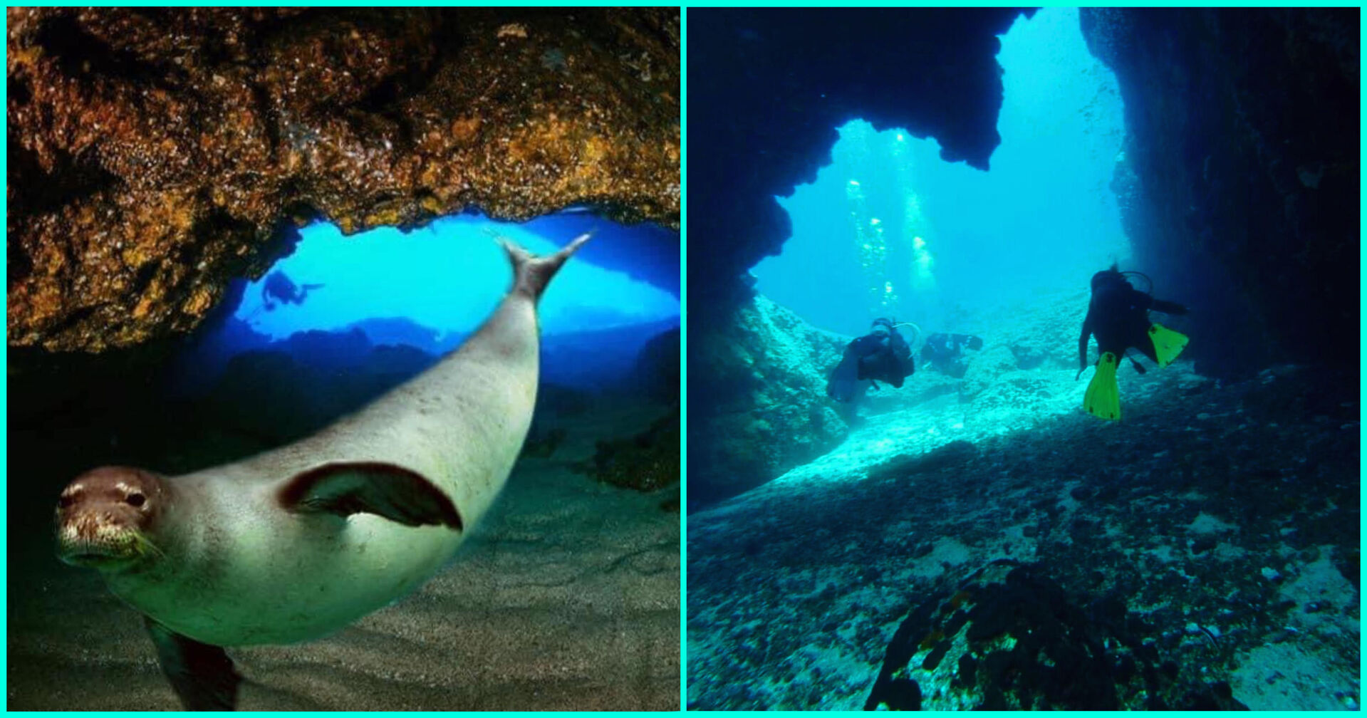 dive-image