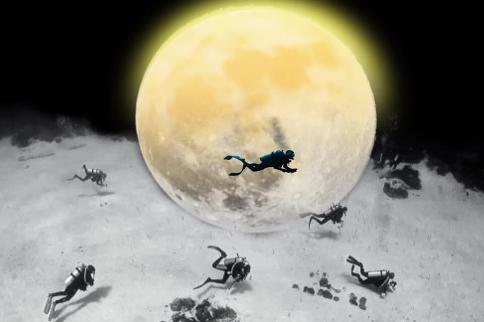 dive-image