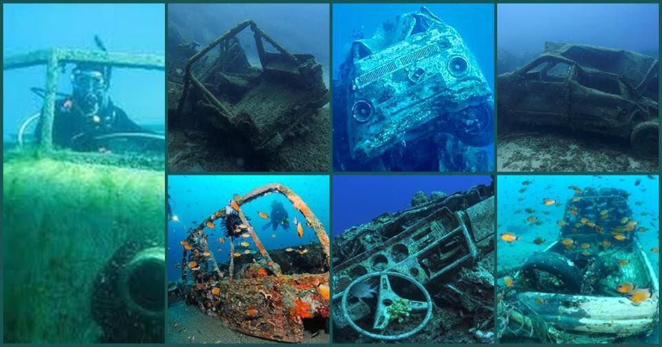 dive-image