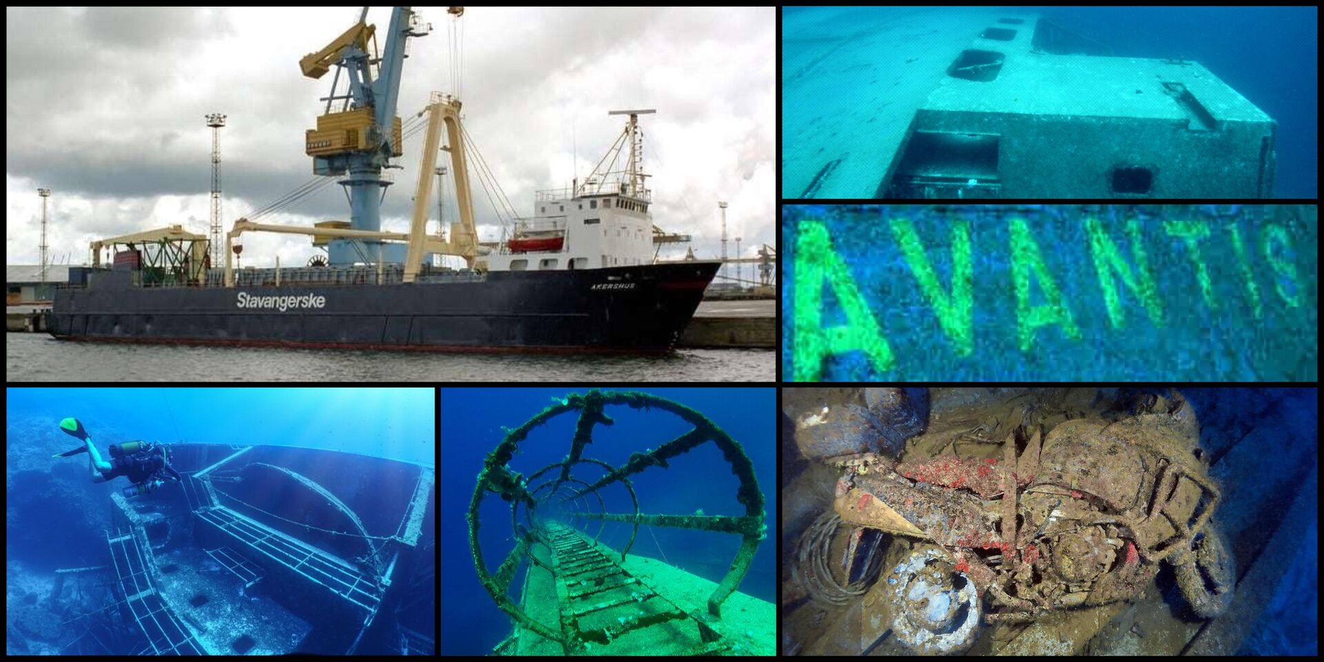 dive-image