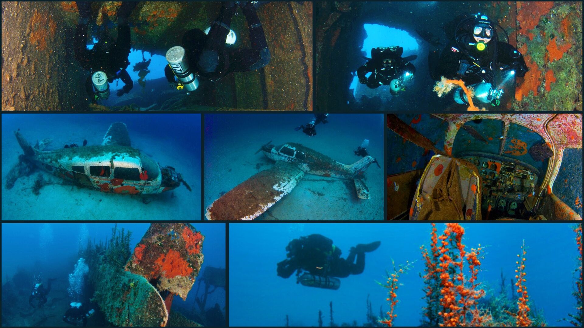 dive-image