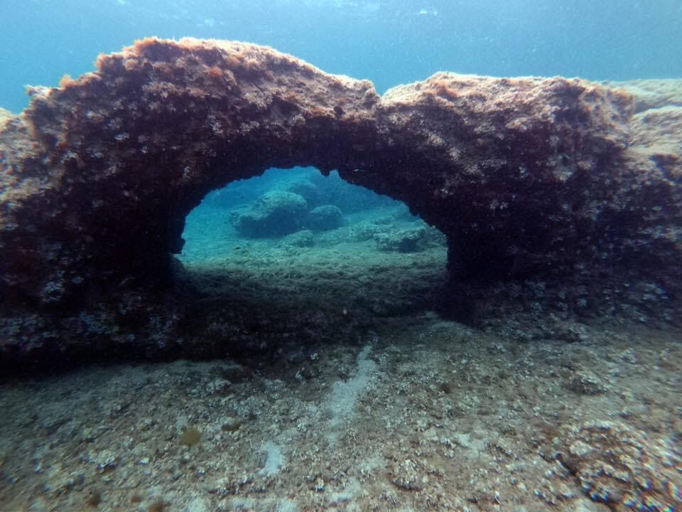 dive-image